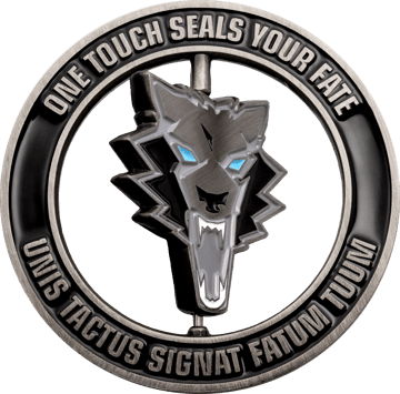 Spinner challenge coin