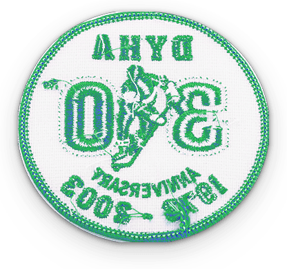 Custom embroidered patch with no backing